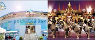 Dolphins Bay & FantaSea with Dinner